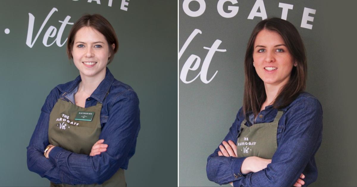 mixcollage-18-apr-2024-04-30-pm-8764