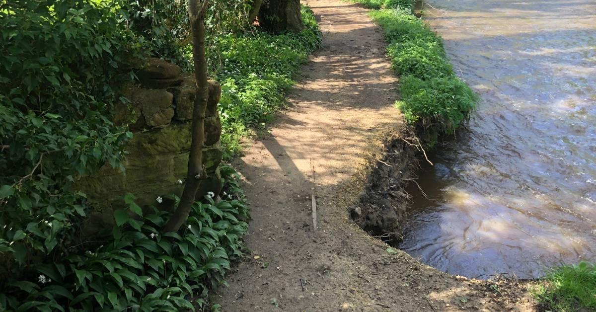 ripon-16th-april-2024-undecut-footpath-by-the-skell